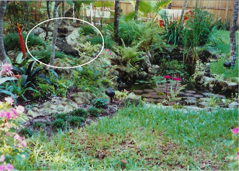 Original Koi pond, 1990