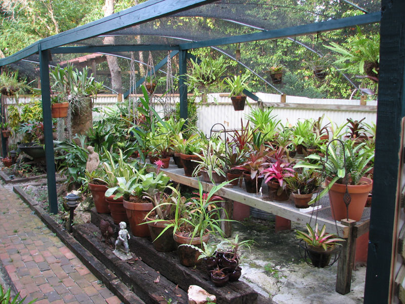 Bromeliad Greenhouse, 2006